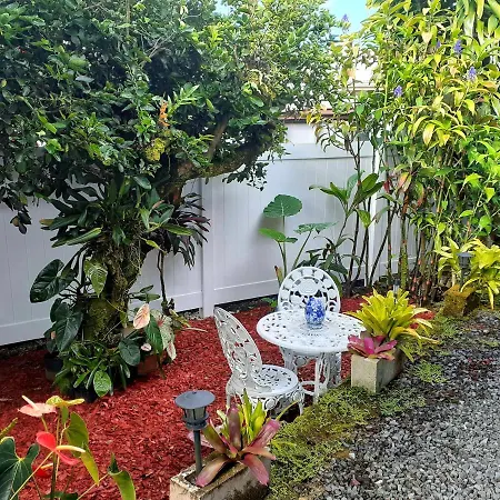 Paradise Cottage At Anthurium Hale Hilo Exterior photo