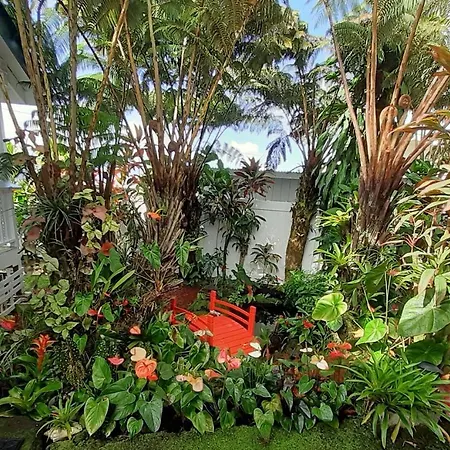 Paradise Cottage At Anthurium Hale Hilo Exterior photo
