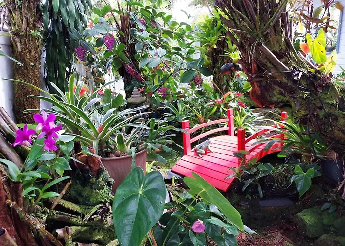 Paradise Cottage At Anthurium Hale